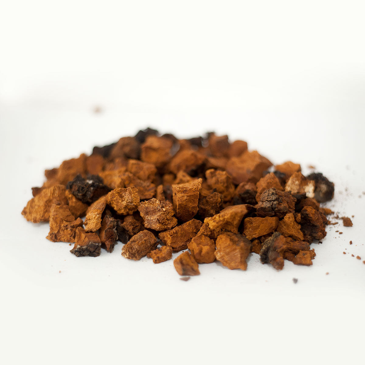 Chaga