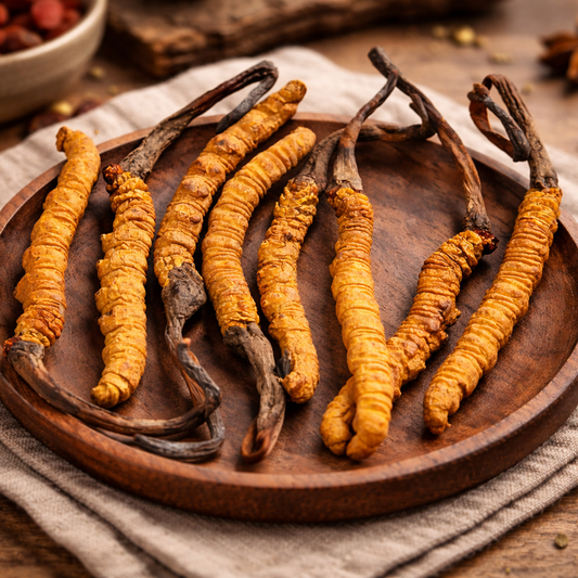 Cordyceps (Cordyceps Sinesis CS-4)